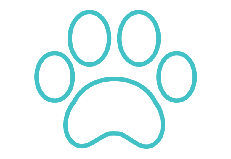 icone-health-for-pet icone-health-for-pet